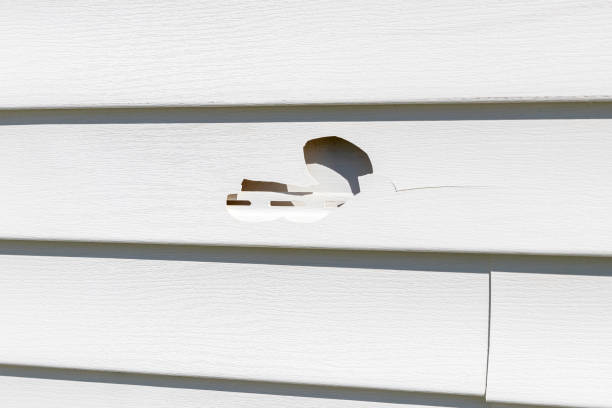 Best Siding Replacement  in Cresskill, NJ