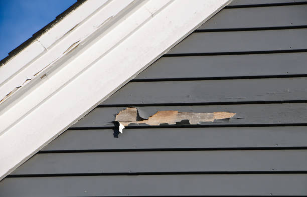Best Engineered Wood Siding  in Cresskill, NJ