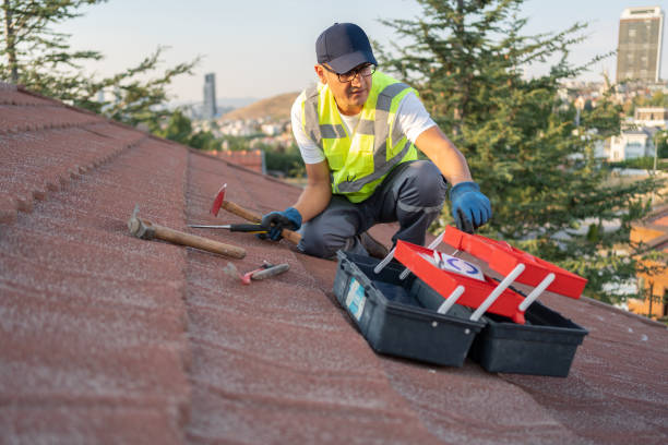 Best Custom Trim and Detailing for Siding  in Cresskill, NJ